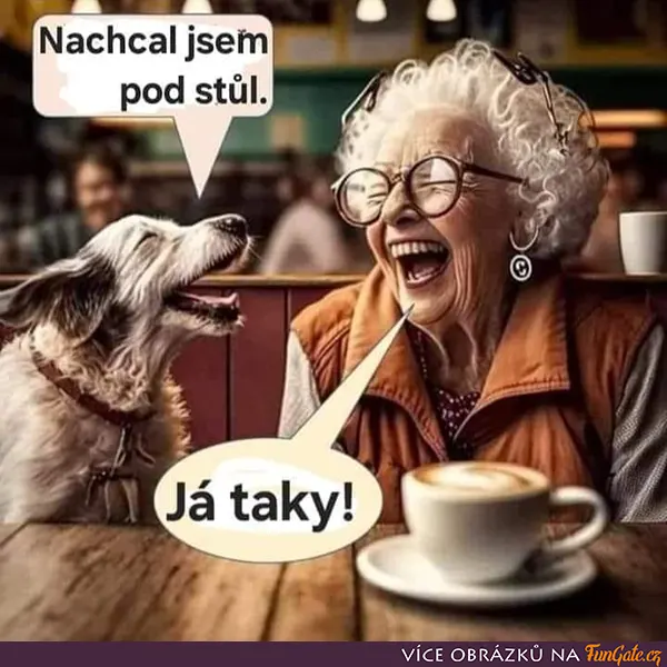 Nachcal jsem pod stůl