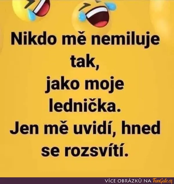 Nikdo mě nemiluje tak, jako moje