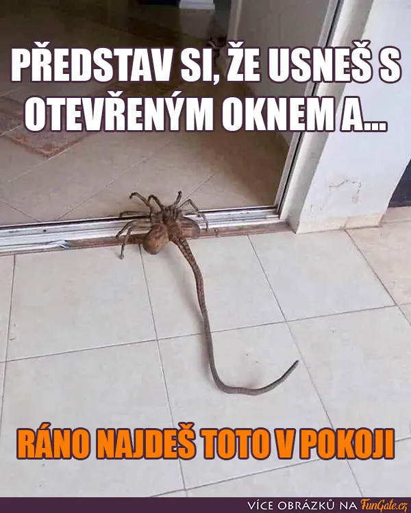 Představ si, že usneš s otevřeným