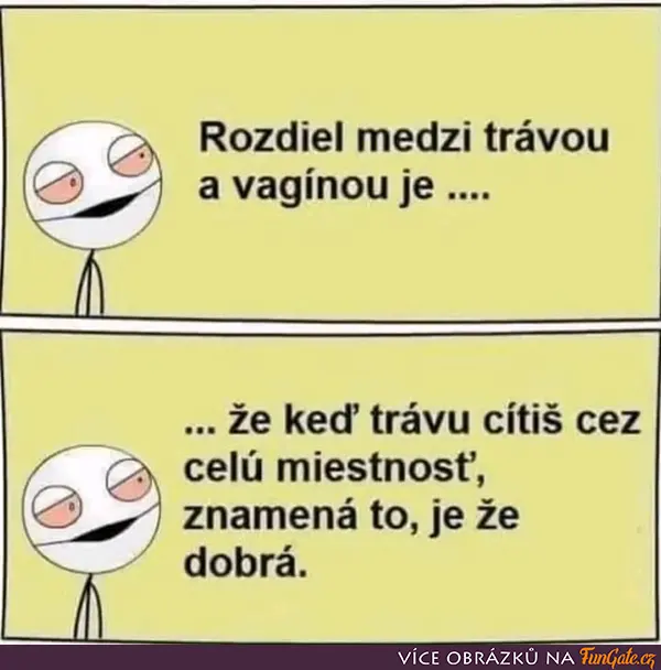 Rozdíl mezi trávou a vagínou je