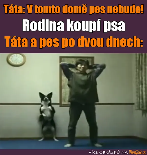 Táta: V tomto domě pes nebude!