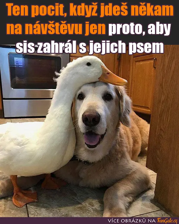 Ten pocit, když jdeš někam na