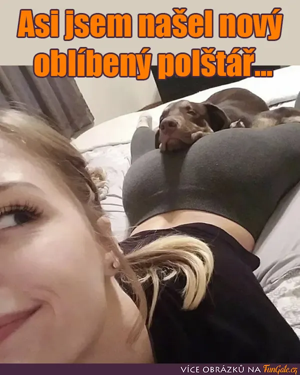 Asi jsem našel nový oblíbený polštář