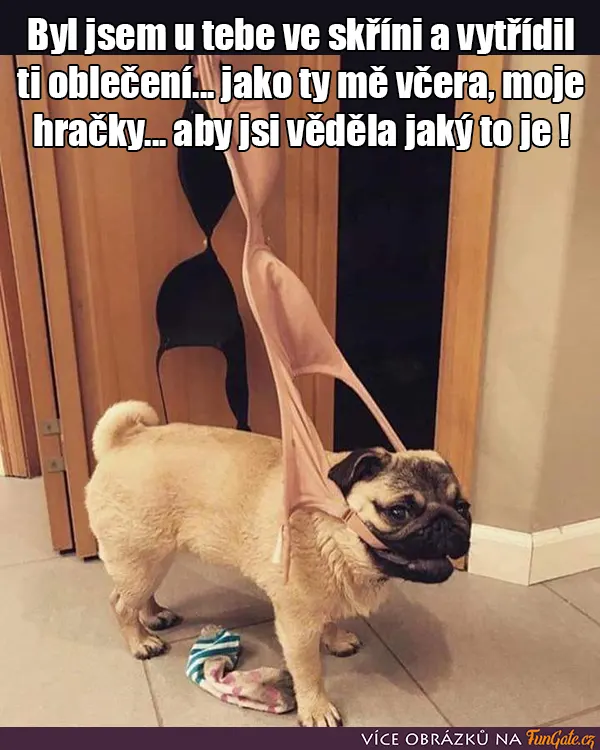 Byl jsem u tebe ve skříni a vytřídil