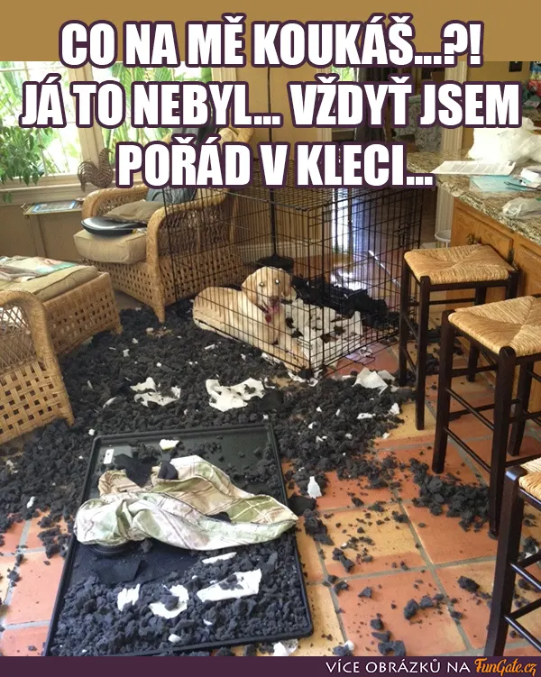 Co na mě koukáš...?!