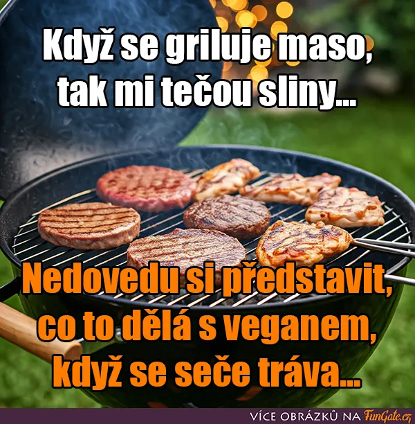 Když se griluje maso, tak mi tečou sliny...