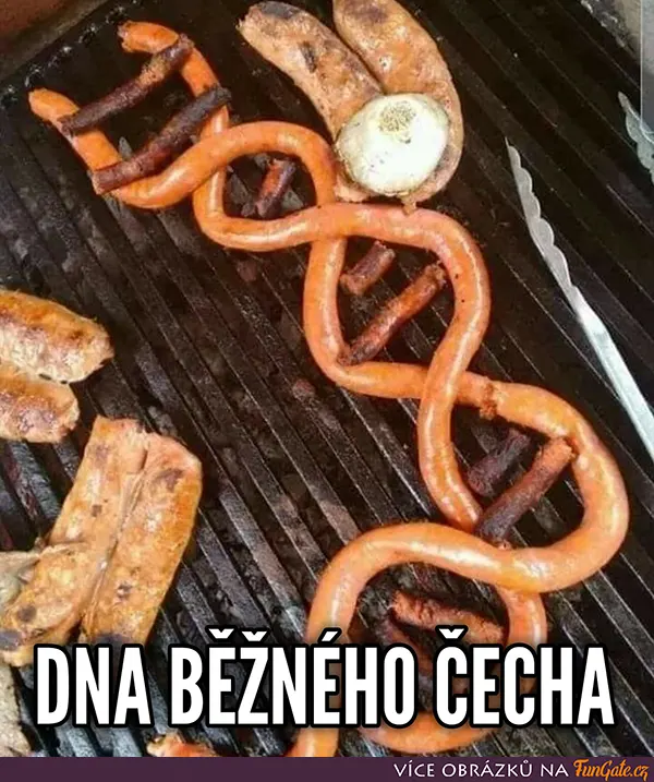 DNA běžného Čecha