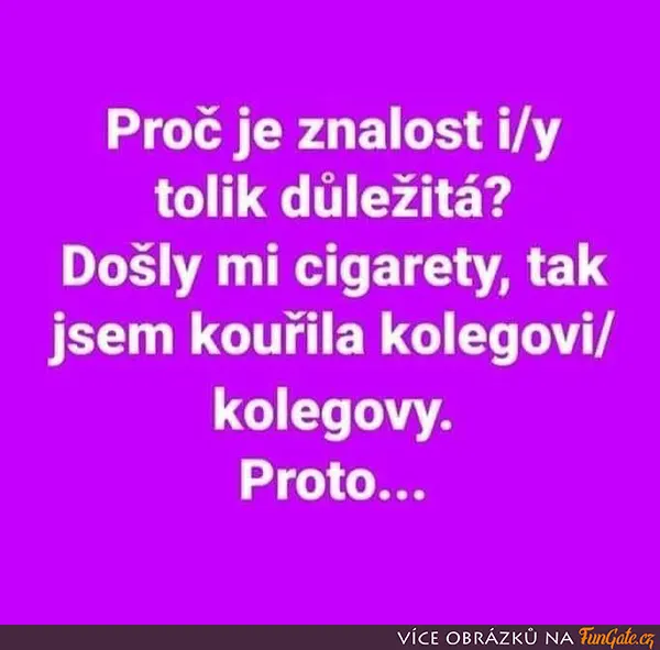 Proč je znalost i/y tolik důležitá?