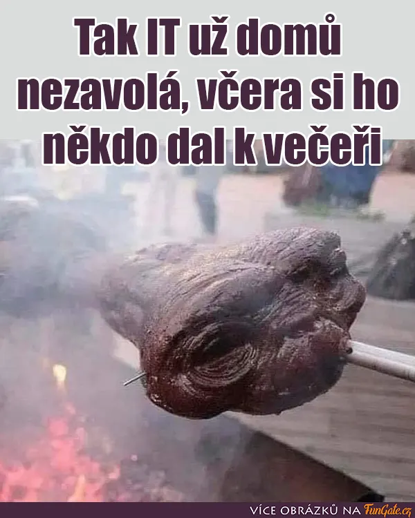 Tak IT už domů nezavolá