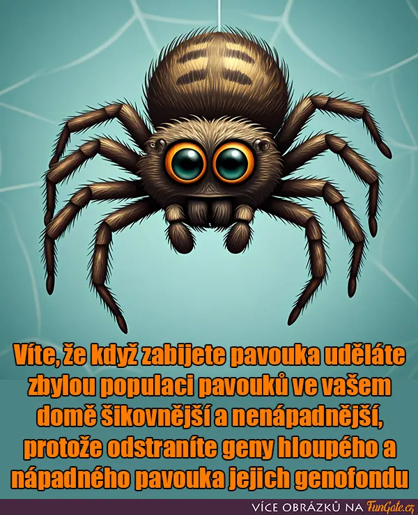 Víte, že když zabijete pavouka uděláte