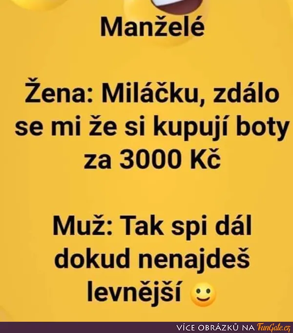 Manželé