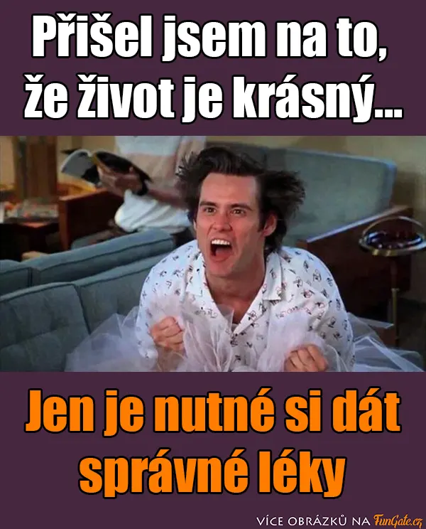 Přišel jsem na to, že život