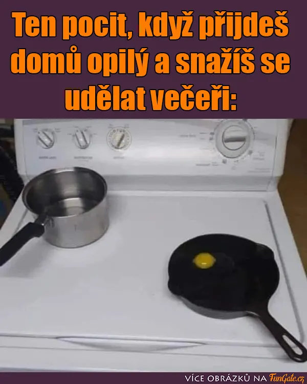 Ten pocit, když přijdeš domů opilý