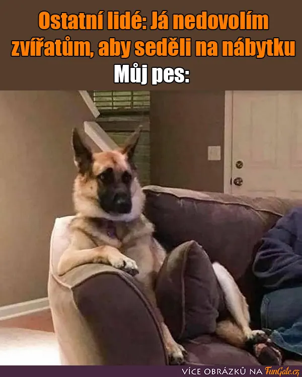 Ostatní lidé: Já nedovolím zvířatům