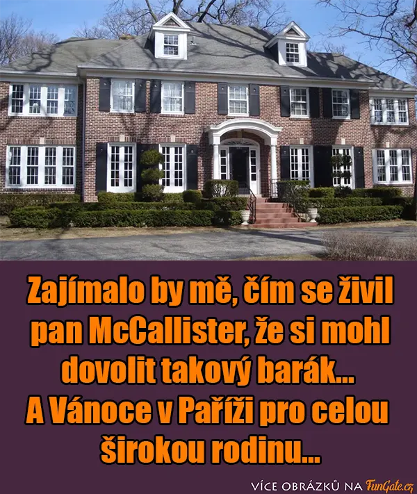 Zajímalo by mě, čím se živil pan McCallister