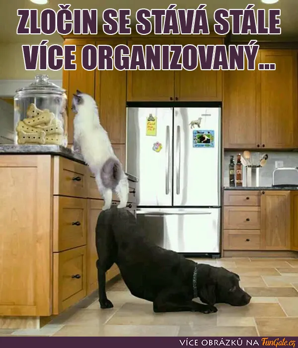 Zločin se stává stále více organizovaný...