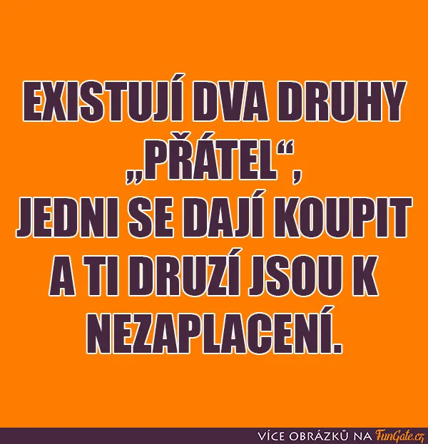 Existují dva druhy přátel